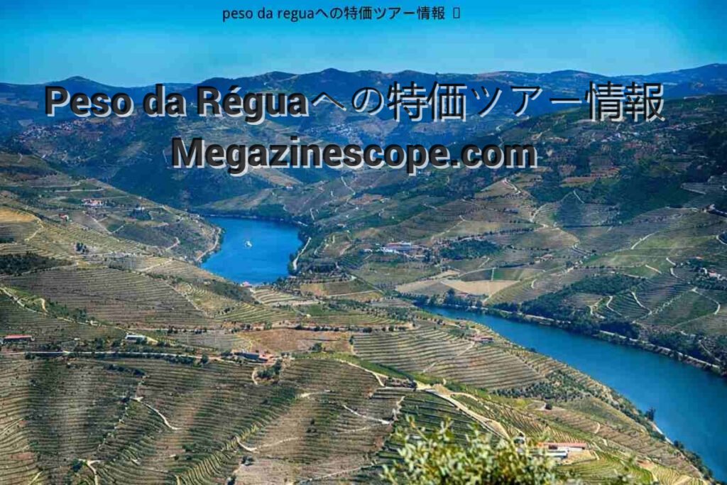 Special Tour Information to Peso da Réguaへの特価ツアー情報